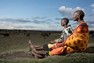 Maasai women looking on their herd (Maasai Mara - Kenya)