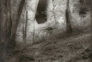 © Guido Paulussen