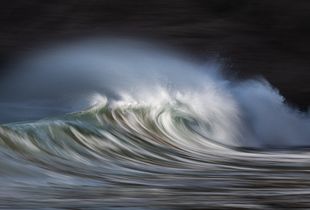 Silken Surf 7