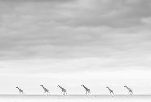 The Journey