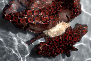 Untitled # 1 © Erika Diettes