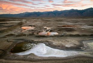 LADWP Shallow Flood Irrigation Zone, Owens Lake, CA