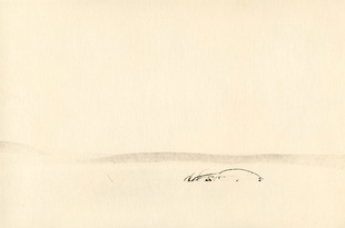 The quiet sense of nature#1
