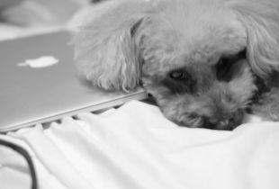 Play with me