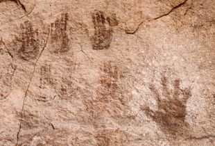 Handprint. Canyonlands National Park, UT. © David Gardner