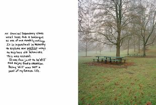 Untitled (Park-from Climbing the Ladder)