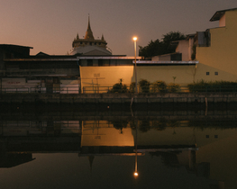 Morning under Wat Saket