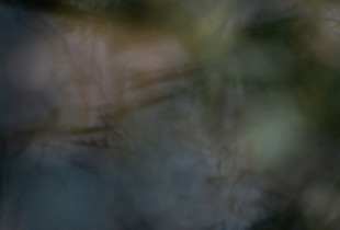 River spirit #1
