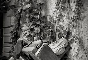 The Watchman