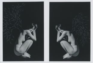 gemini(diptych)wing