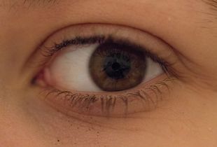 The eye