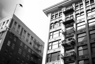 Downtown Los Angeles 1