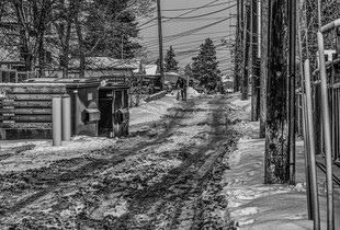 Back Alley
