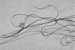 Sea Etching 64