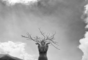 Alchemical tree