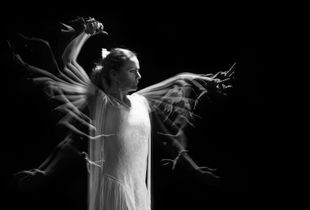 The Spider