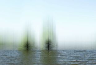 © Ellen Jantzen - "Whetting The Waters"