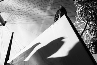 Watchman