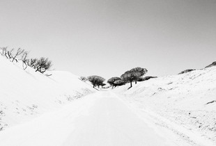 The dune and the road