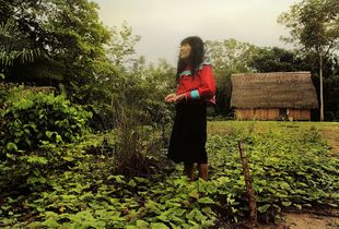 Selva Jardin
