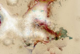 Impermanence_Untitled, 2013