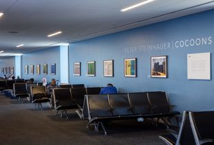 Previous SFO Museum Gallery B3, Terminal 1 show