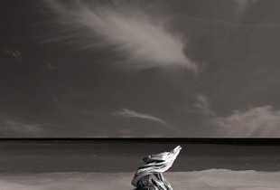 memory 1