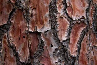Textuer 1