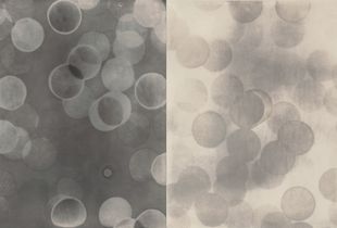 LPV #3 , Edition of 5, 46'x66"© Thomas Brummett