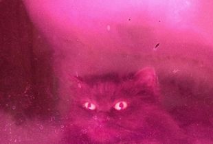 Bijoux Orbiting a Saturn Return.