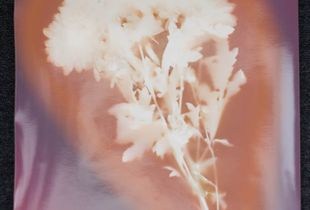 Lucent