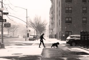 Walking dog