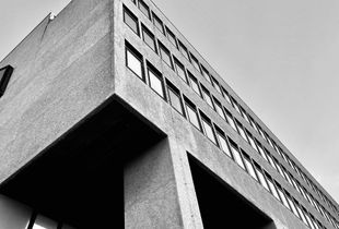 The University of Medicine of Ancona