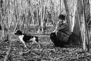 Louie Adshead, picking up