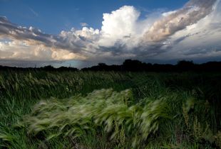 Fall Storm