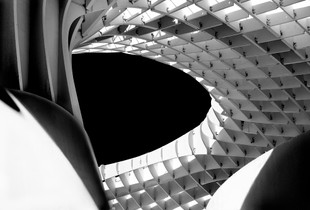 Parasol 4