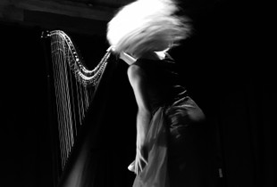 Harpist