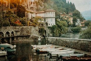 The Harbour