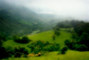 Mountain Fog