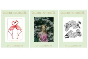 Covers of the book