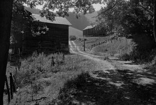 The Road to Robert and Jane's, Madison County, NC