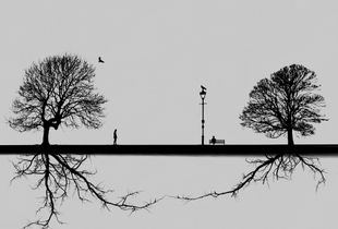 Parallel Worlds