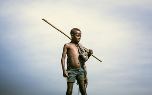 Cattle Herder