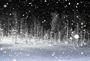Snowy night