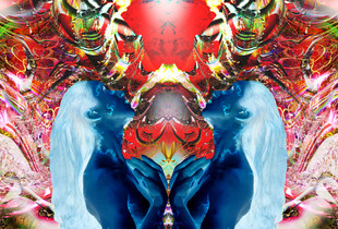 Rebirth