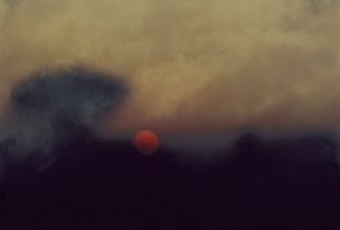 Field (Verse I) #1
