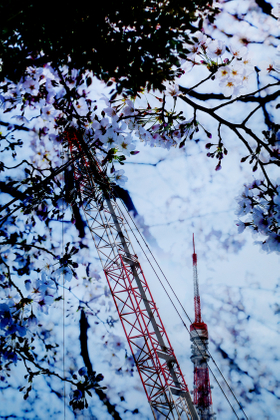TOKYO, NOW