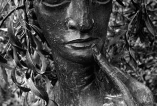 Maiden.  Sissinghurst, UK