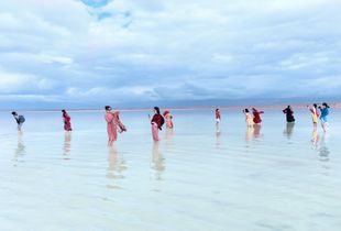Les dames en rouge