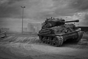 Fury